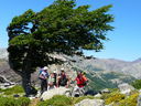 P1050018.JPG