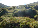 P1050231.JPG