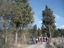 A_288829.JPG