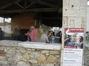C_2810529~1.JPG
