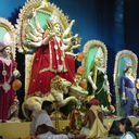 IMGP4433.JPG