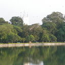 IMGP4455.JPG