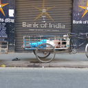 IMGP4463.JPG