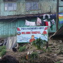 IMGP4480.JPG