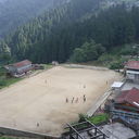 IMGP4481.JPG