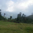 IMGP4496.JPG