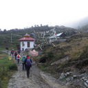 IMGP4501.JPG