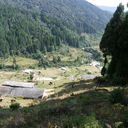 IMGP4630.JPG