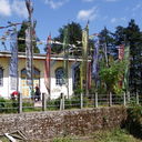 IMGP4677.JPG