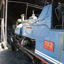 IMGP4737.JPG
