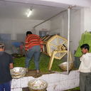 IMGP4751.JPG