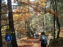 Renon_trek_yoga_28929.JPG
