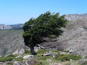 Immagine_435.jpg