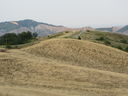 IMG_3930.jpg