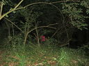 IMG_3939.jpg