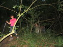 IMG_3940.jpg