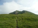 19_CornoCimone_2014.JPG