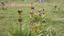 WP_20140811_007.jpg