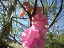 DSCN1351.JPG