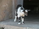 DSCN1378.JPG