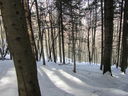 IMG_0885.JPG