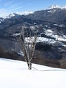 IMG_0893.JPG
