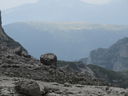 IMG_1577.JPG
