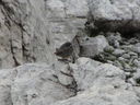 IMG_1591.JPG