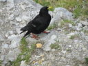 IMG_1598.JPG