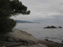IMG_5639.JPG