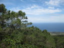 IMG_6371.JPG