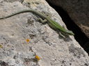 IMG_6379.JPG