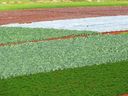 P1030185_28640x48029.jpg