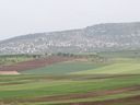 P1030226_28640x48029.jpg