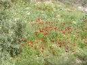 P1030288_28640x48029.jpg