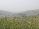 P1030291_28640x48029.jpg