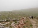 P1030311_28640x48029.jpg