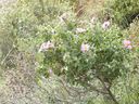 P1030360_28640x48029.jpg