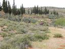 P1030372_28640x48029.jpg