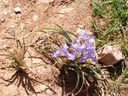 P1030394_28640x48029.jpg