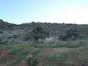 P1030412_28640x48029.jpg