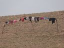 P1030502_28640x48029.jpg