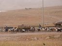 P1030515_28640x48029.jpg