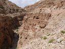 P1030578_28640x48029.jpg