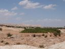 P1030589_28640x48029.jpg