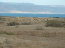 P1030613_28640x48029.jpg
