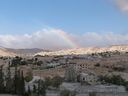 P1030628_28640x48029.jpg