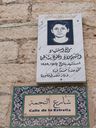 P1030747_28480x64029.jpg