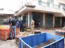 P1030763_28640x48029.jpg