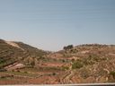 P1030866_28640x48029.jpg